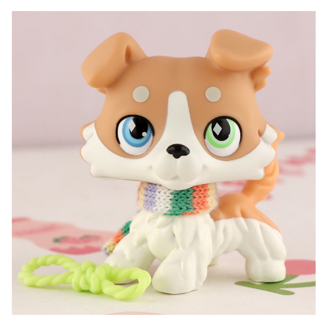 lps vanilla collie
