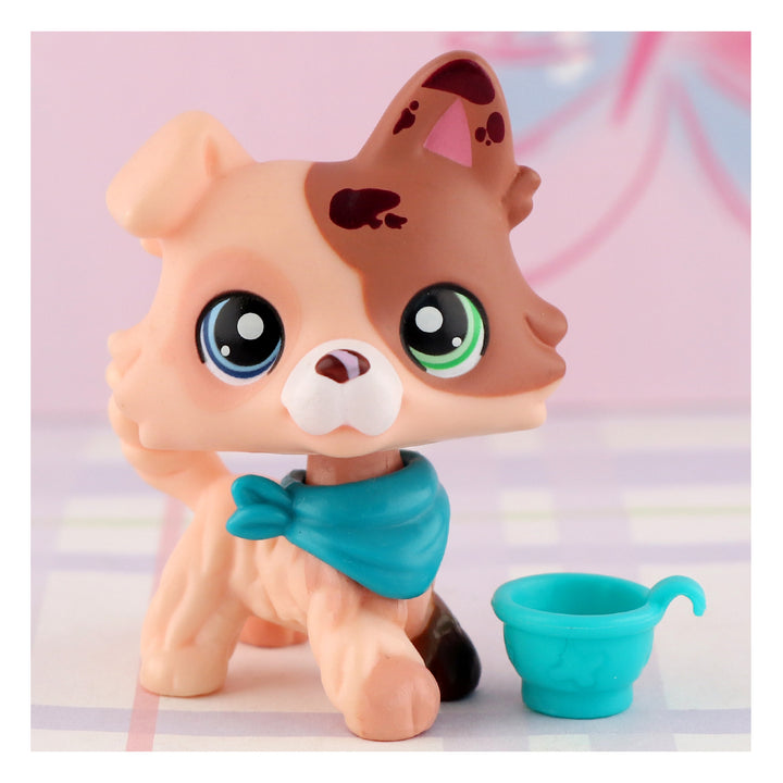 lps butter collie