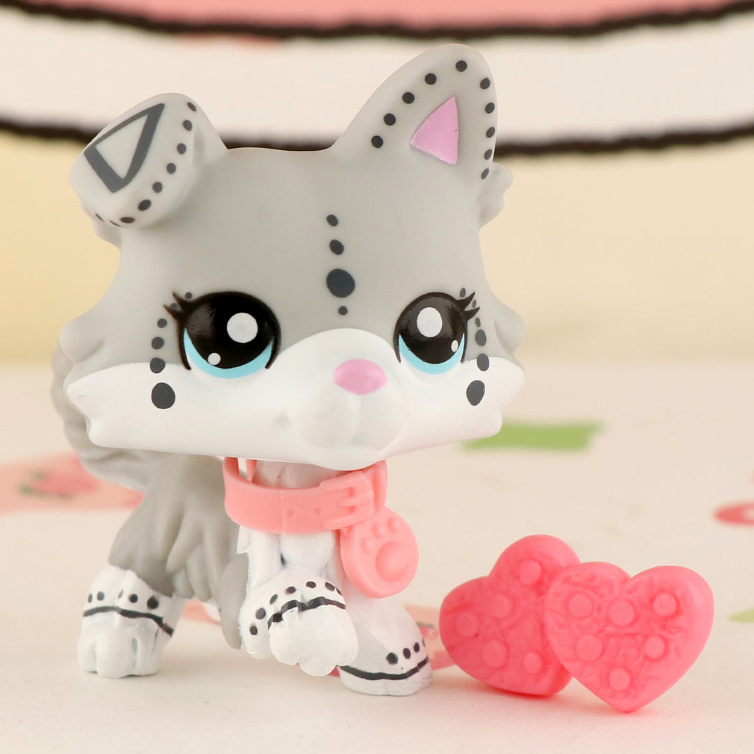 lps speckle collie