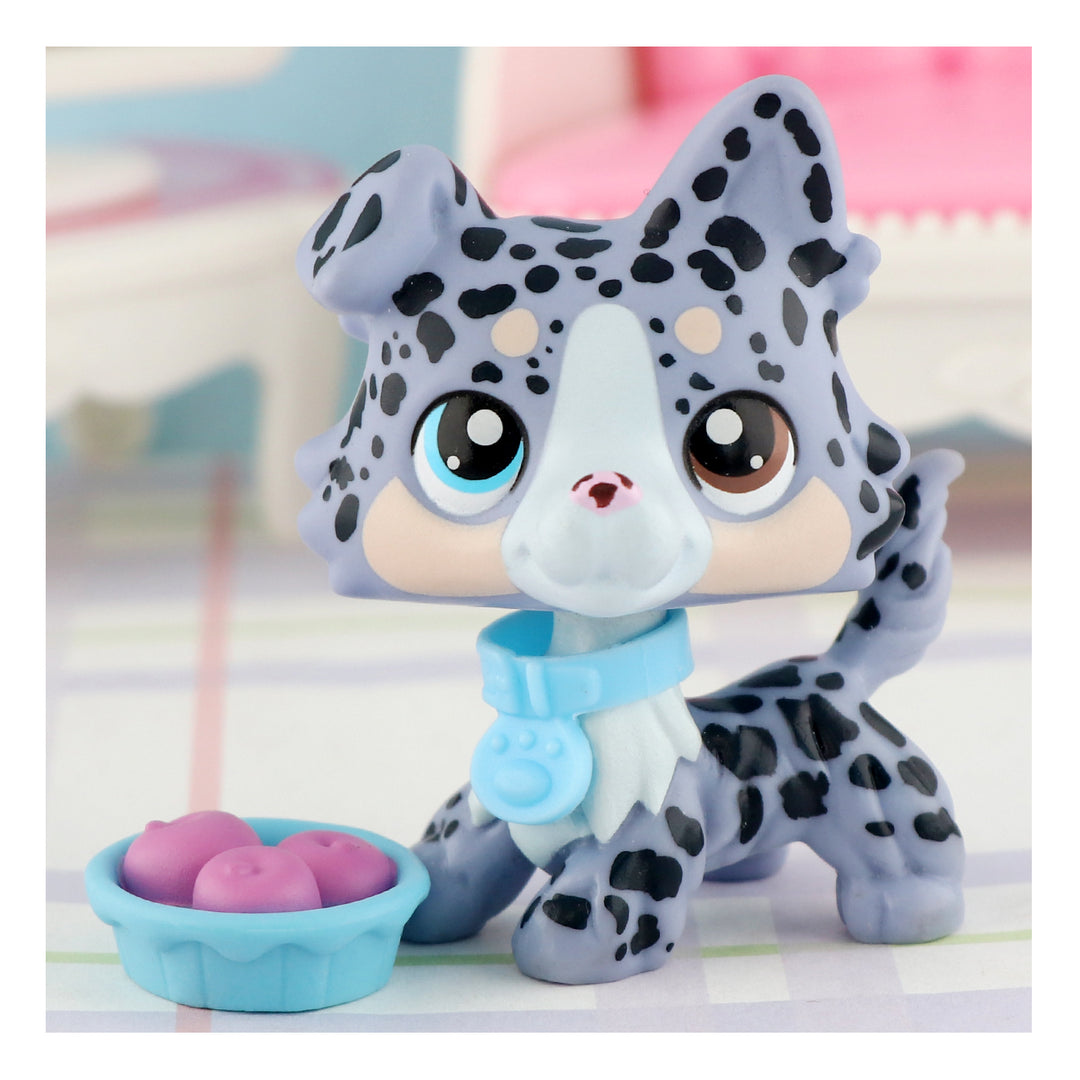 lps spottted collie