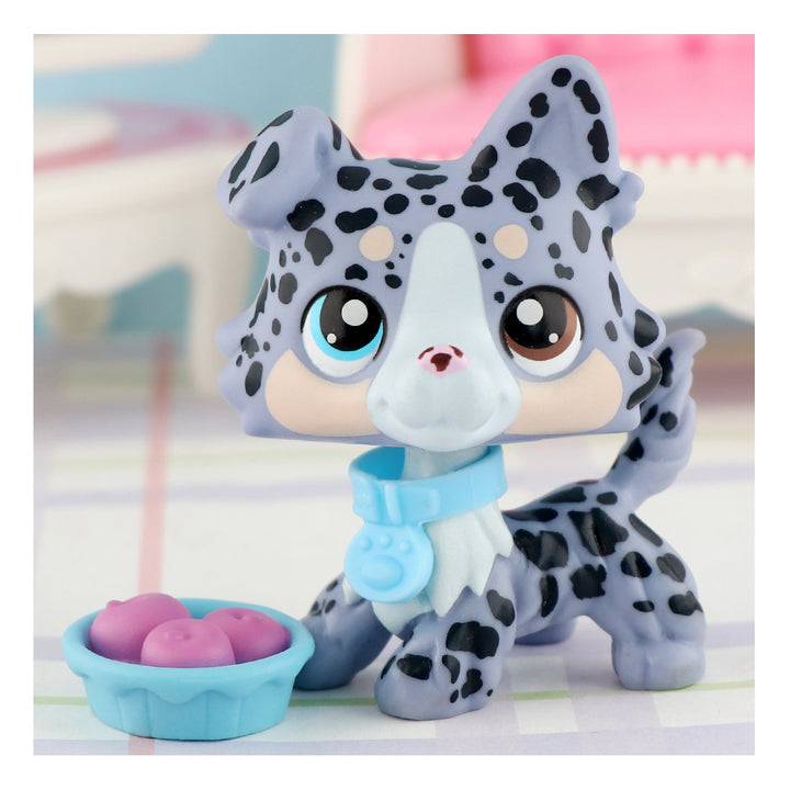 lps spottted collie