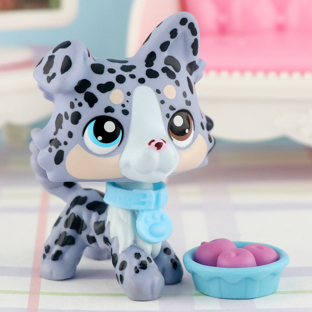 lps spottted collie