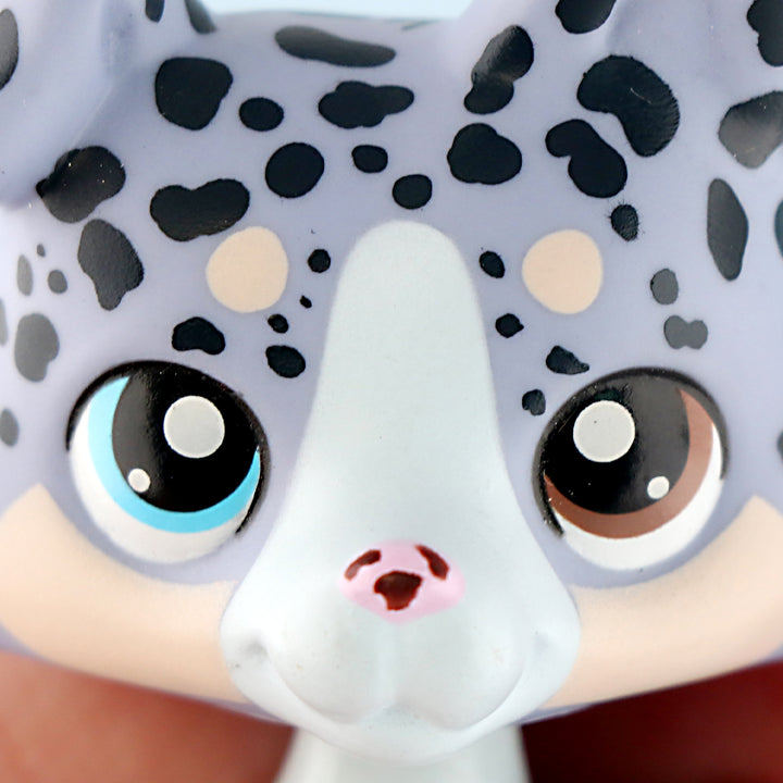 lps spottted collie